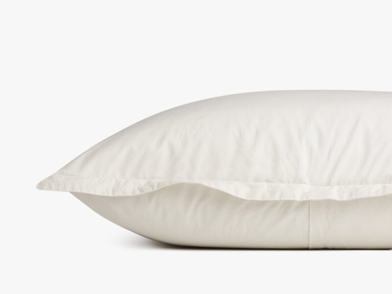 Brushed Cotton Euro Sham (Surplus and Ivory) - Image 2
