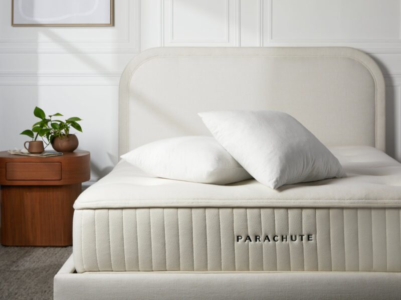 Down Decorative Pillow Insert - Image 3